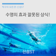 잘못된 수영 상식 수영의 효과 확인하세요!