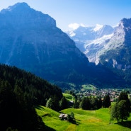 First, Grindelwald #1