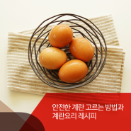 [살충제 계란 대책] 안전한 계란 고르는 방법과 계란요리 레시피