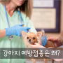 [반려동물상식]강아지 예방접종