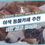 동물들이랑 힐링하고 데이투도 하고 🐹🐩🐕