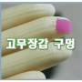 고무장갑 구멍 떼우기만 하면 새것처럼 살려내기