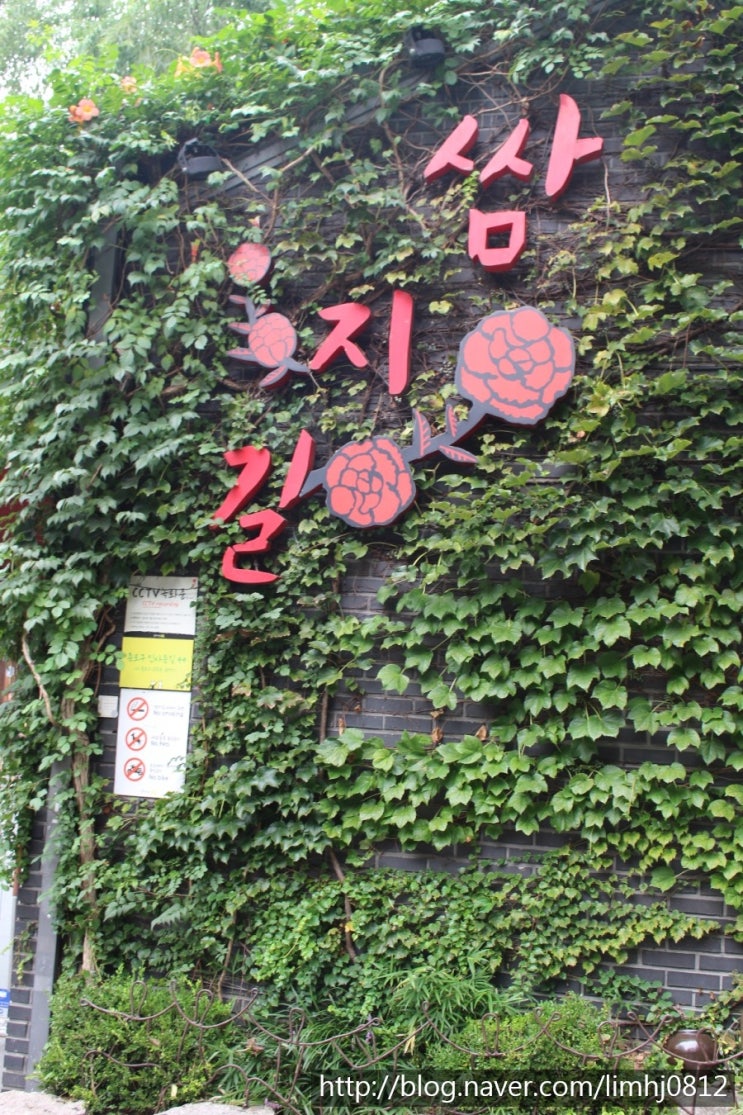 [서울 여행] 서울 가볼만한곳 인사동 쌈지길 "또옹카페" 이색카페