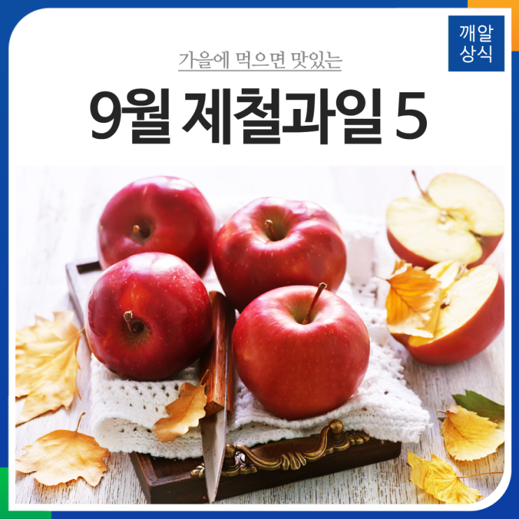 가을에 먹으면 맛있는 9월 제철과일 5 : 네이버 블로그