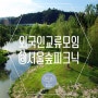 외국인 교류모임 "서울조아" / 서울숲 피크닉!