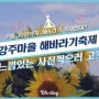 9월30일까지 해바라기축제!!