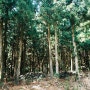송열과 함께, 제주-사려니숲길, 청진동뚝배기