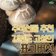 추석선물로 좋은 표고버섯가루 선물세트/말린표고버섯