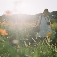 괜찮아. 햇살 따뜻한 가을이 오고있잖아. 헤링본 : 마니에르 라지 시리즈