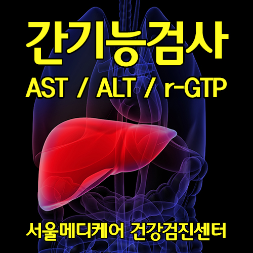 간기능검사 AST(SGOT)/ALT(SGPT)/감마지티피(r-GTP)/ALP(알칼리포스타파제)/총단백/알부민/글로블린/총빌리루빈 ...