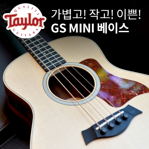 [리뷰] 테일러 Taylor GS mini Bass 세상에서 제일 예쁜 어쿠스틱 베이스!! [베이스/어쿠스틱베이스/미니베이스 ...