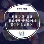 평택 여행! 평택 통복시장 청년숲에서 즐기는 먹방투어!