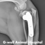 강아지 전십자 인대 단열 치료를 위한 TPLO 수술 (TPLO Surgery for Canine Cranial Cruciate Ligament Rupture) [청주지웰동물병원]