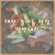 [대전갈마동맛집] 대전 갈마동, 단체회식추천, 삼겹살, 등갈비찜 - 양반돼지