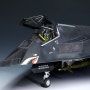 [Tamiya 1/48] F-117A Nighthawk