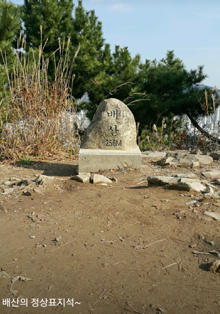 [부산팔대] 배산성지 겸효대 김겸효 배산 거칠산국 연산동 : 네이버 블로그