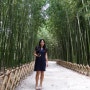 태화강 십리대숲 경치 좋은 십리대밭 오빠랑 힐링 산책
