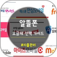 알뜰폰 요금제 비교/선택 가이드