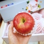 [사과선물세트] 과일 사들고 미리 추석인사! 아삭하고 맛있는 꿀땡이 청송사과.