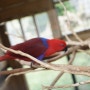 제주도 한달살기 2일차 개똥이네 동물원