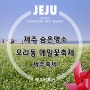 [제주축제]한라산 정상과 가장 가까운 축제, '오라동 메밀꽃축제', 제주시내를 한눈에 내려다보며