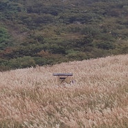 [사글세]6화 소음, 영남알프스, 신불산, 초보 등산객의 하루