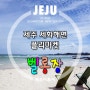 [제주세화해변]플리마켓 벨롱장과 제주에서 맞는 세번째 생일을 추억하며