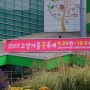 추석연휴 가볼만한 곳 - 2017 경기도 고양가을꽃축제