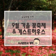 [9월 가을 꽃축제]가을이 오면 놓칠 수 없는 꽃스팟 :: 제주 키친오즈, 상사화 축제 :: 제주도 게스트하우스 추천