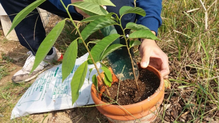 석가키우기 : 네이버 블로그