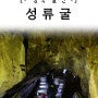 [경북 울진] 울진 성류굴 / 울진 여행 / 성류굴 입장료 / 울진 겨울여행 / 동해안 겨울 여행 / 울진 가볼 만한 곳