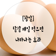 [건강한우리먹거리] 한우보다 비싸다는 '달걀' 매일 먹으면 나타나는 효과 │참알│