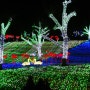 청도 가볼만 한 곳 ,청도 프로방스 빛 축제