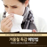 추운 겨울철 독감 예방법 알아보기