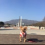 요크셔테리어 봄이 : 천안 독립기념관 산책