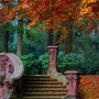 아름다운 전원주택 정원 계단