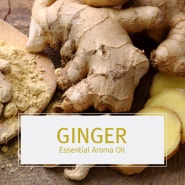 천연 에센셜 오일 : 진저 에센셜 오일 (Ginger Essential Aroma Oil)