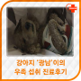 24시간 병원 [광진동물의료센터]-강아지 '광남' 진료과정