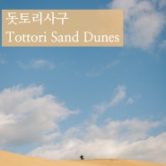 [간사이여행/돗토리] 돗토리 사구(Tottori Sand Dunes)