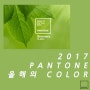 ★ 2017 팬톤(PANTONE) 선정, 트렌드 컬러 ★
