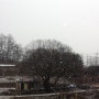 민통선에 눈이 왔어요^^*
