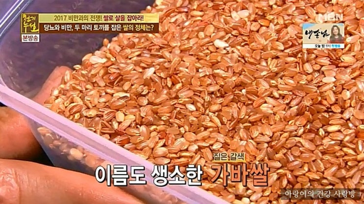 천기누설 가바쌀효능 가바쌀 부작용 : 네이버 블로그