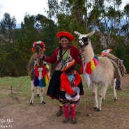 2016. 11. 28. 페루, 쿠스코 (Cuzco, Peru) #03