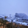 [일본 히로시마] 미야하마 온천 하타고 사쿠라 료칸에서 본 히로시마현 눈 내린 풍경..