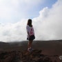 [하와이 여행] 세계 최대 활화산 할레야 칼라국립공원 -2편-