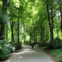 베를린의 허파 티어가르텐 1 Tiergarten