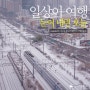 눈 내린 서울의 오늘, 그리고 풍경들