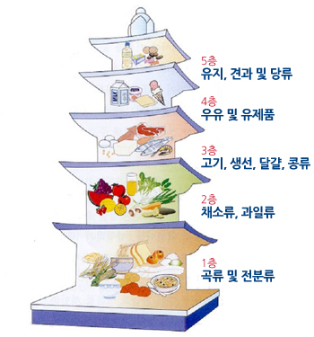 영양공급의 중요성!!(feat. 6대 영양소) : 네이버 블로그