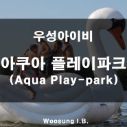 [우성아이비 아쿠아 플레이파크(Aqua Play-park)]