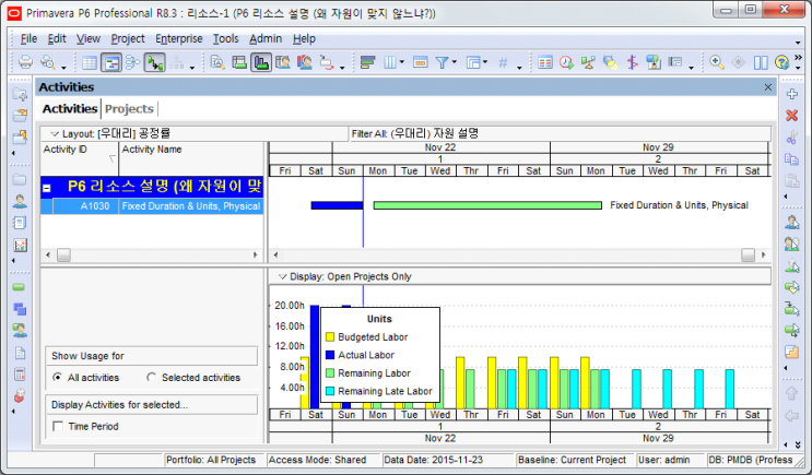 [P6자원관리] 30. Resources Histogram : 네이버 블로그